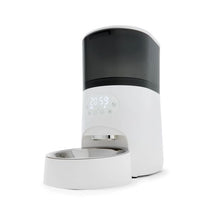 Automated 5L Pet Feeder, White and Grey - Anko