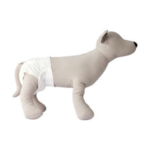 12 Pack Dog Nappies, Large - Anko