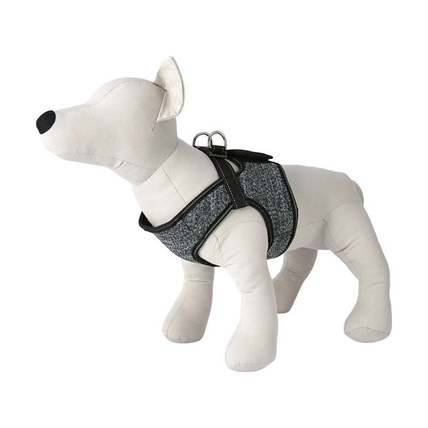 Easy Fit Harness, Small - Anko