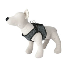 Easy Fit Harness, Small - Anko