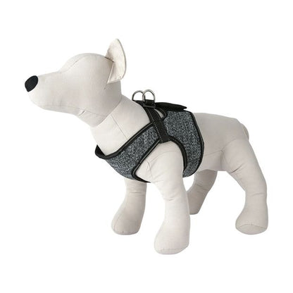Easy Fit Harness, Small - Anko