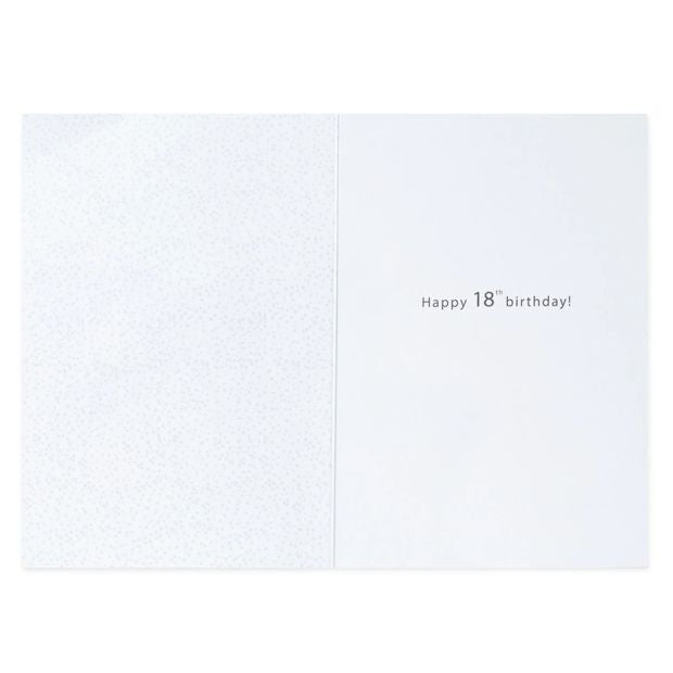 Connections from Hallmark 18th Birthday Card - Silver Stars and Balloon