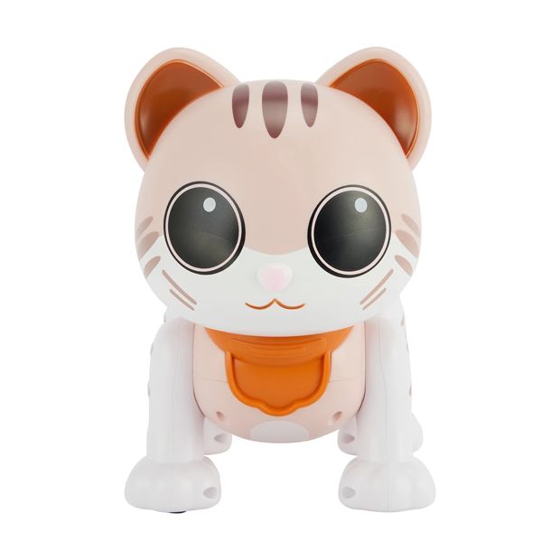 RC Robo Cat