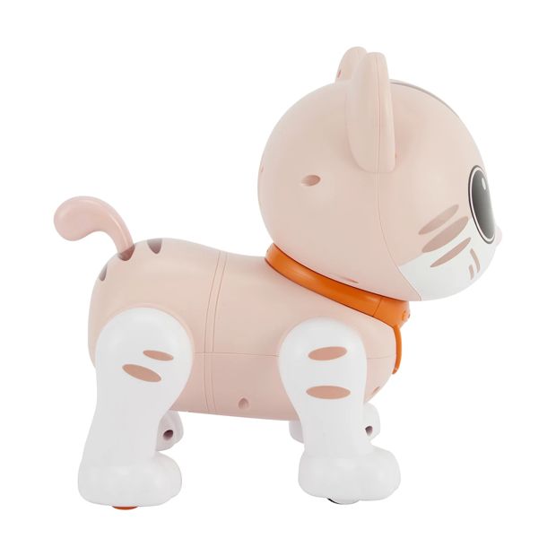 RC Robo Cat