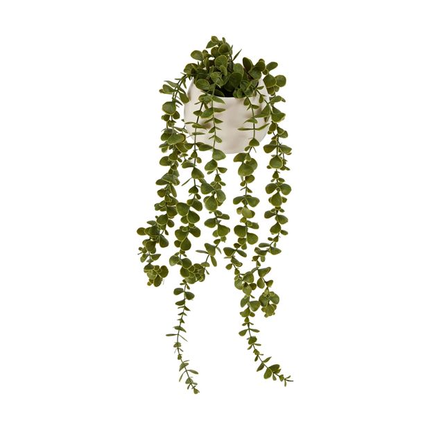 Artificial Trailing Plant in Pot - Anko