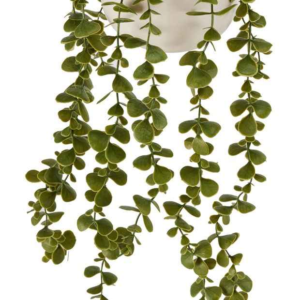 Artificial Trailing Plant in White Pot