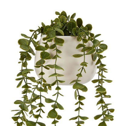 Artificial Trailing Plant in Pot - Anko