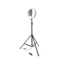Ring Light, 10" - Anko
