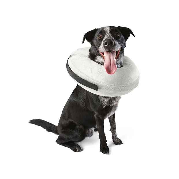 Inflatable Collar - Anko