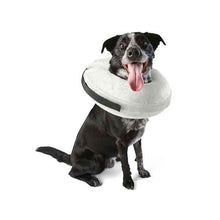 Inflatable Collar - Anko