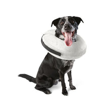 Inflatable Collar - Anko