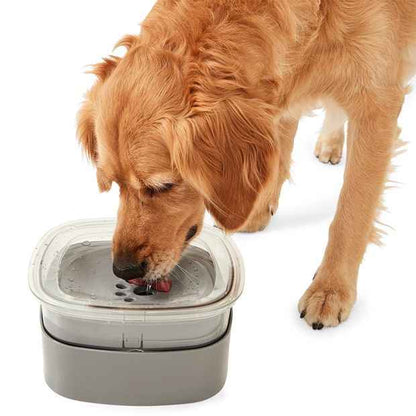 Pet Floating Bowl - Anko