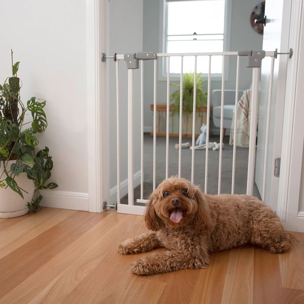 Metal Gate with Extensions - Anko