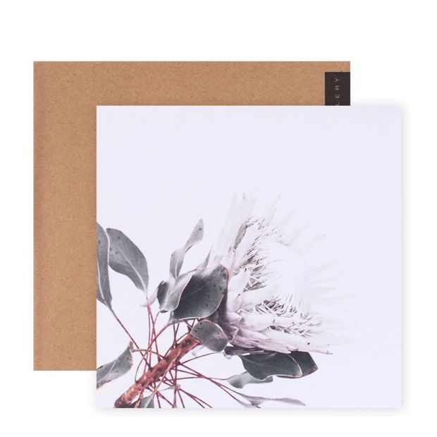 Hallmark x Donna Delaney Gallery Blank Greeting Card - King White Protea