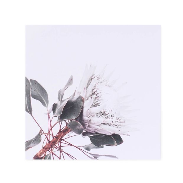 Hallmark x Donna Delaney Gallery Blank Greeting Card - King White Protea