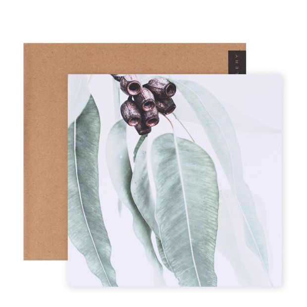 Hallmark x Donna Delaney Gallery Blank Greeting Card - Home Among The Gum Trees