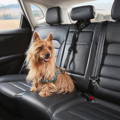 Pet Car Head Rest Tether - Anko