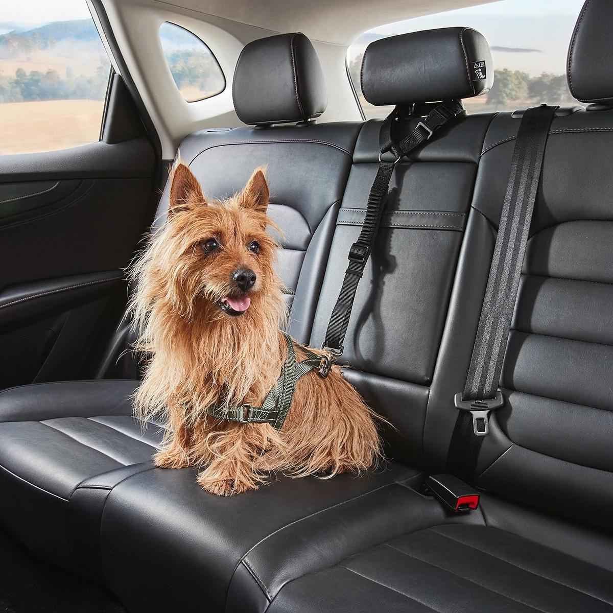 Pet Car Head Rest Tether