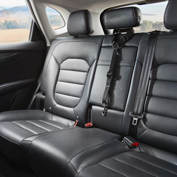 Pet Car Head Rest Tether - Anko