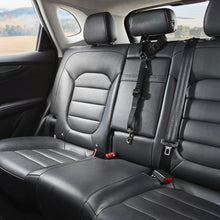 Pet Car Head Rest Tether - Anko