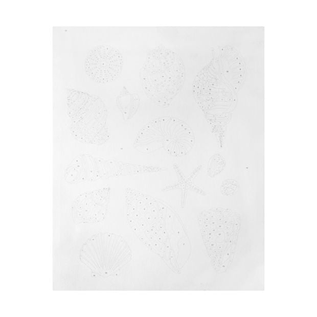 Paint By Numbers, Shell - Anko
