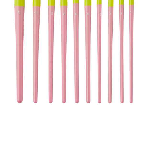 10 Piece Artist Brush Set