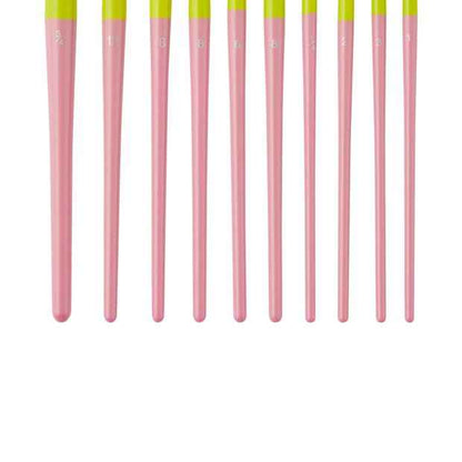10 Piece Artist Brush Set