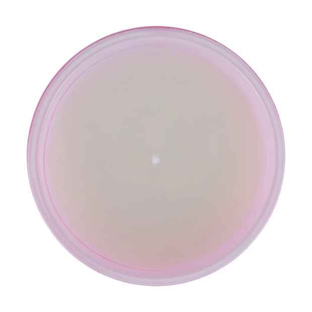 Pink Tropic Summer Solstice Soy Blend Fragrant Candle - Anko