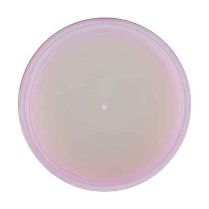 Pink Tropic Summer Solstice Soy Blend Fragrant Candle - Anko