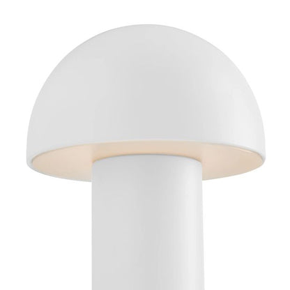 Inaya Portable Re-chargeable Lamp - Anko
