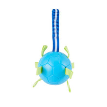 Pet Toy Tug Ball - Anko