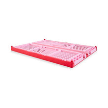 30L Collapsible Crate, Large, Red - Anko