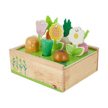 12 Piece Wooden Gardening Shape Sorter Playset - Anko