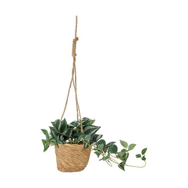 Artificial Zebrina in Hanging Pot - Anko