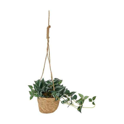 Artificial Zebrina in Hanging Pot - Anko