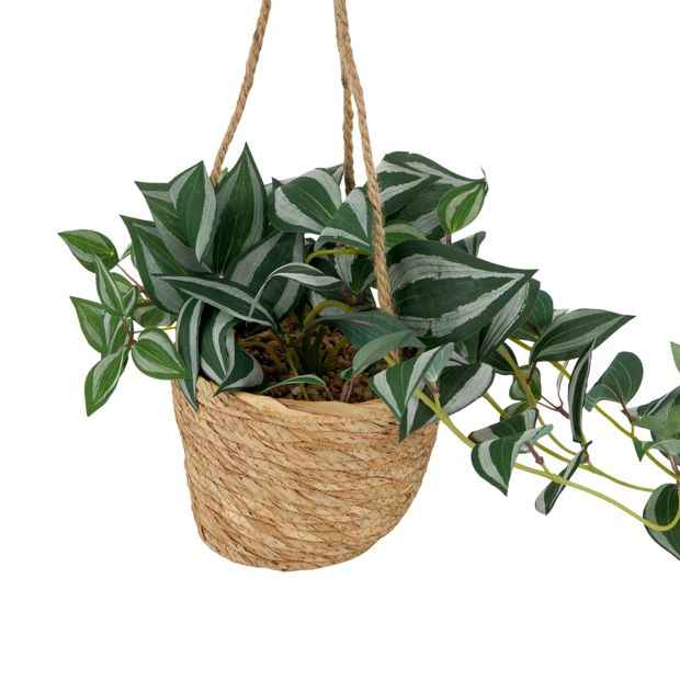 Artificial Zebrina in Hanging Pot - Anko