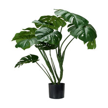 Tall Artificial Monstera - Anko