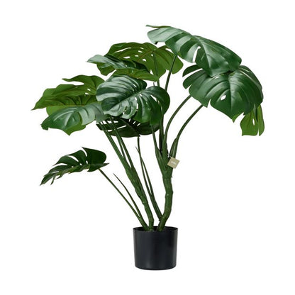 Tall Artificial Monstera - Anko
