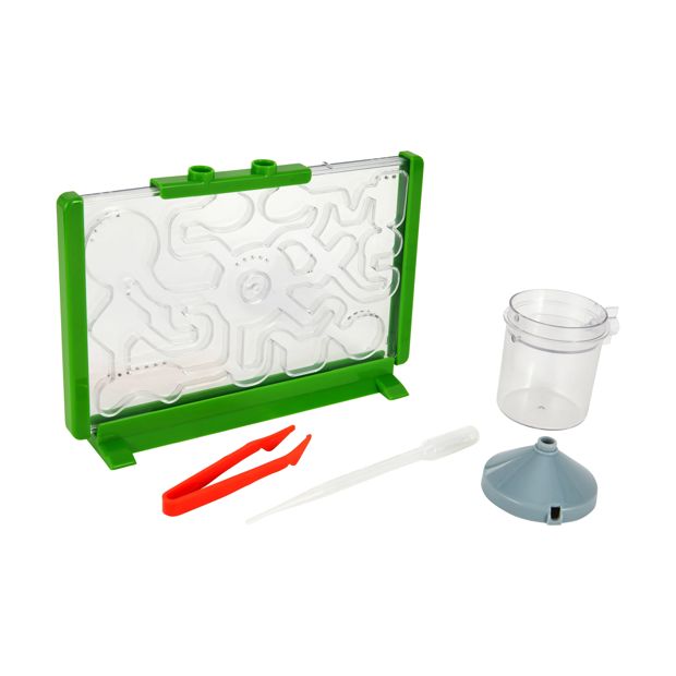 Ant Farm Discovery - Anko