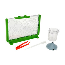 Ant Farm Discovery - Anko