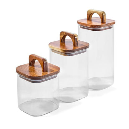 Set of 3 Linear Glass Canisters with Acacia Lids - Anko