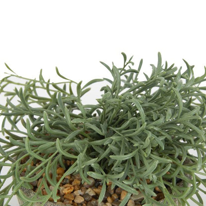 Artificial Tabletop Plant - Anko