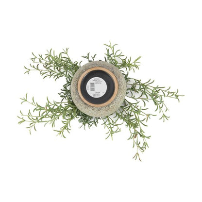 Artificial Tabletop Plant - Anko