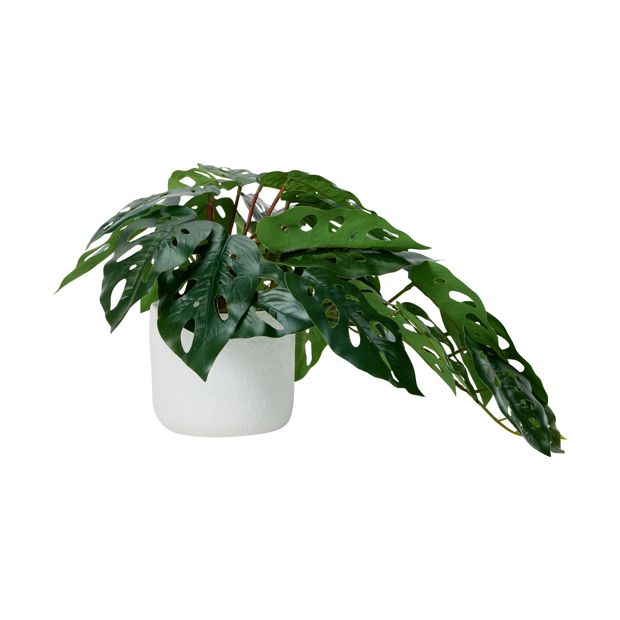 Artificial Monstera Plant - Anko
