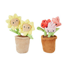 Scented Flower Plush, Assorted - Anko