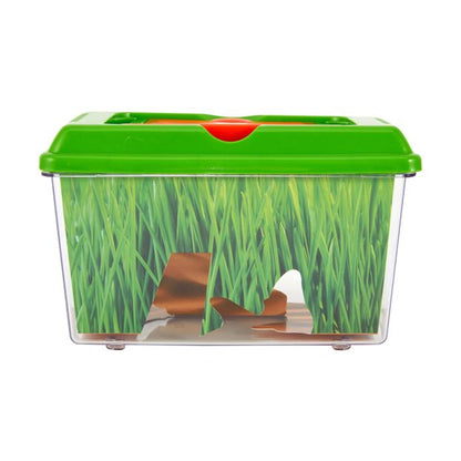 Bug Explorer Activity Set - Anko