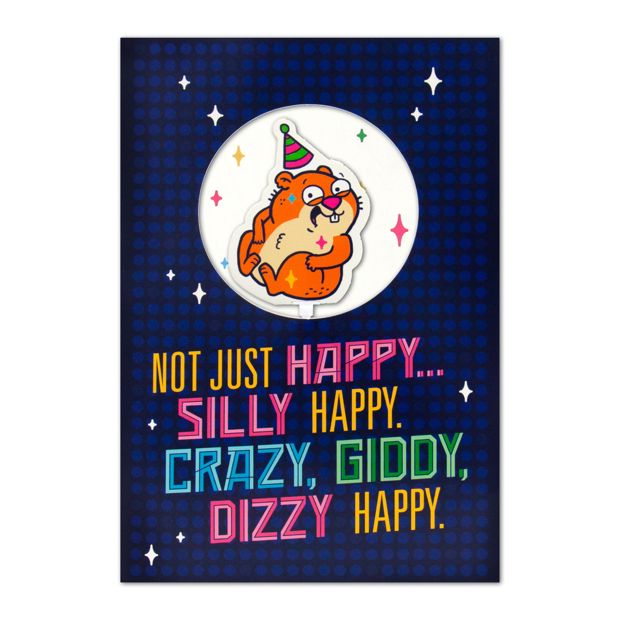 Hallmark Interactive Sound Birthday Card - Spinning Hamster