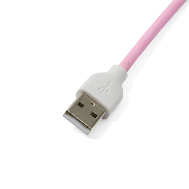 2m USB-C Cable, Pastel Rainbow - Anko