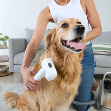 Pet Vacuum and Grooming Kit - Anko