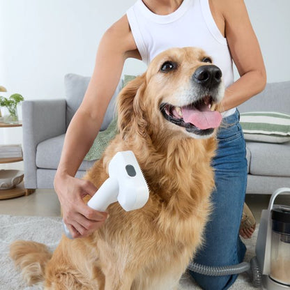 Pet Vacuum and Grooming Kit - Anko